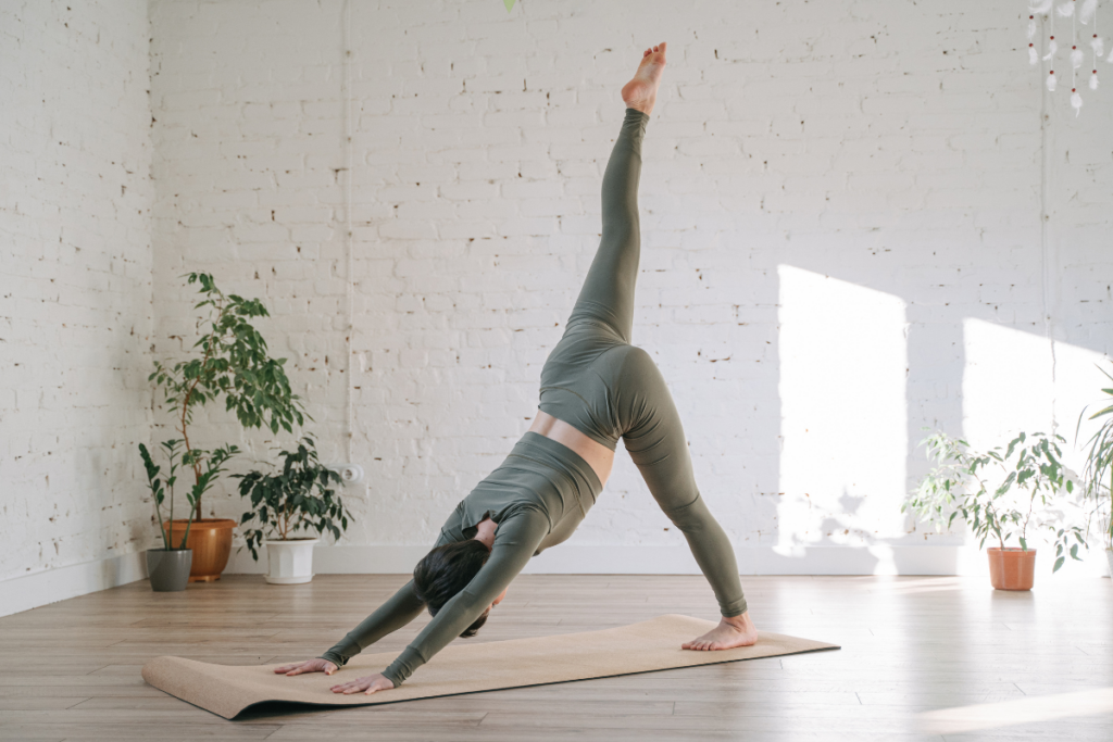 Woman performing a plank exercise with one leg raised during a fitness workout.